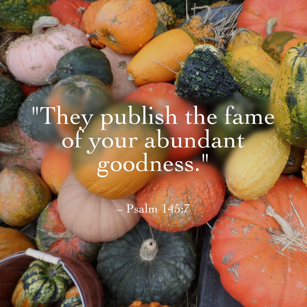 abundant-goodness