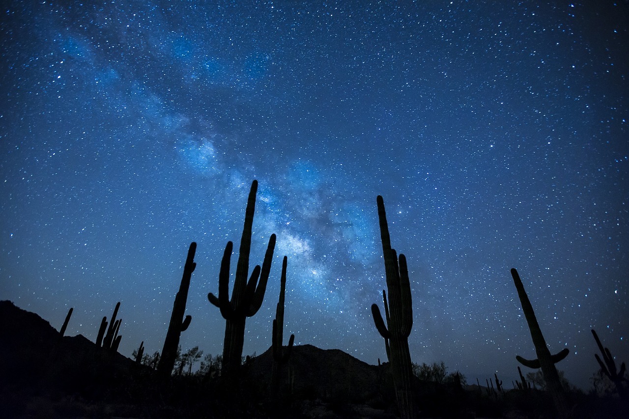 desert milky way night sky