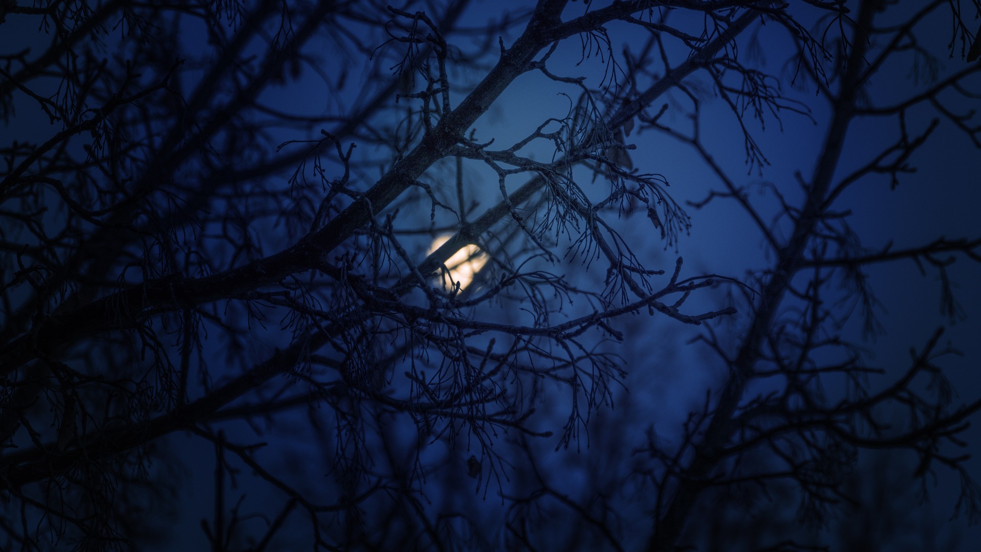 nighttime-moon