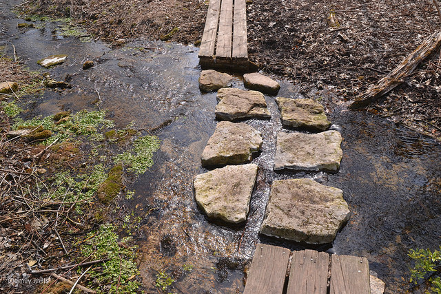 stepping stones