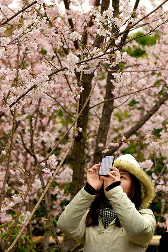 taking photos