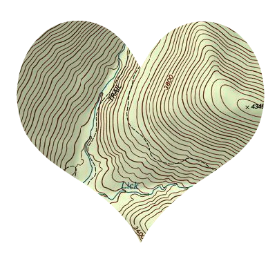 topographical heart map