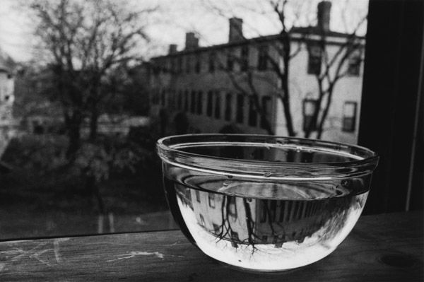 water bowl at window